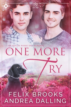 One More Try book cover